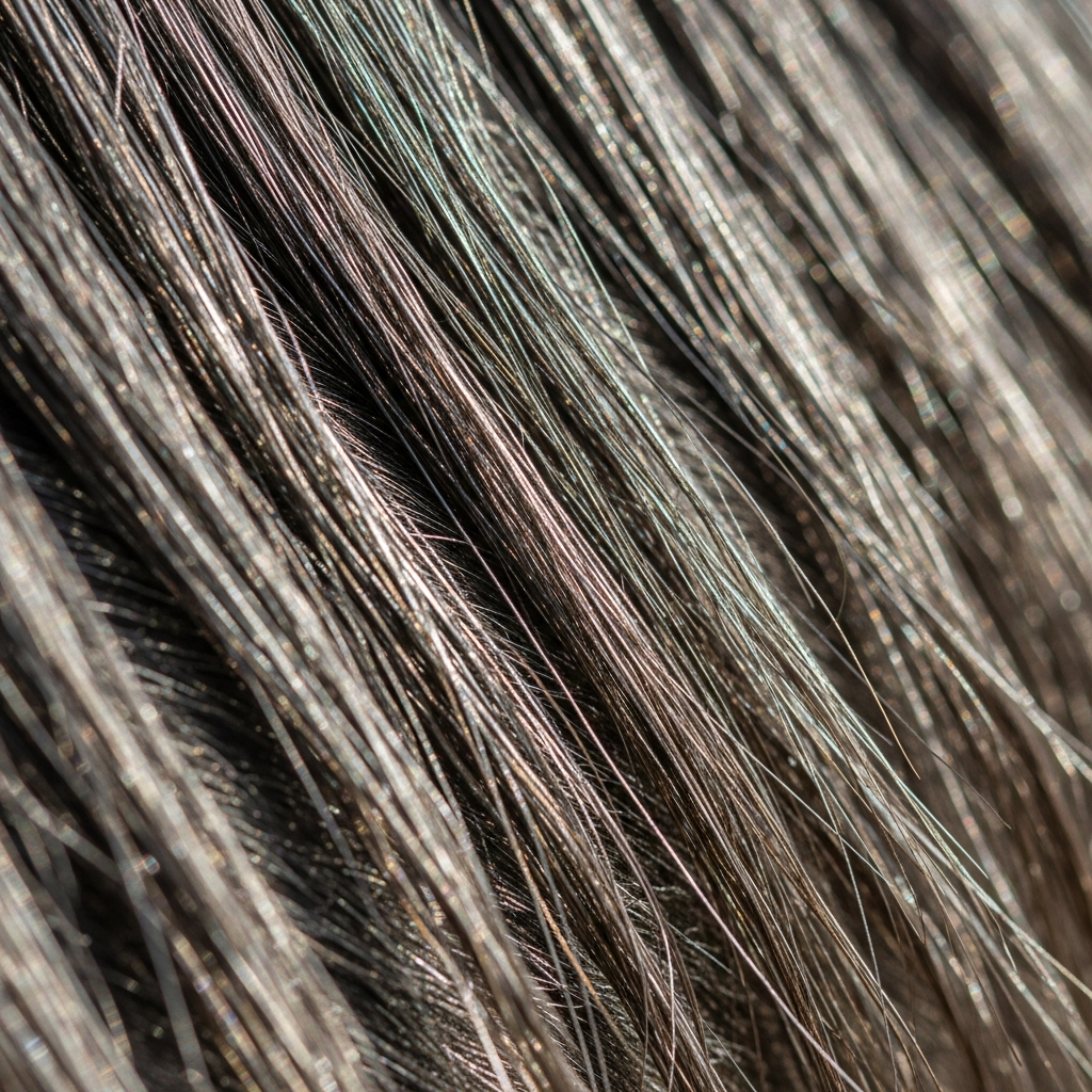 Akhal-Teke: O Cavalo Dourado do Turcomenistão e Seu Brilho Metálico Único